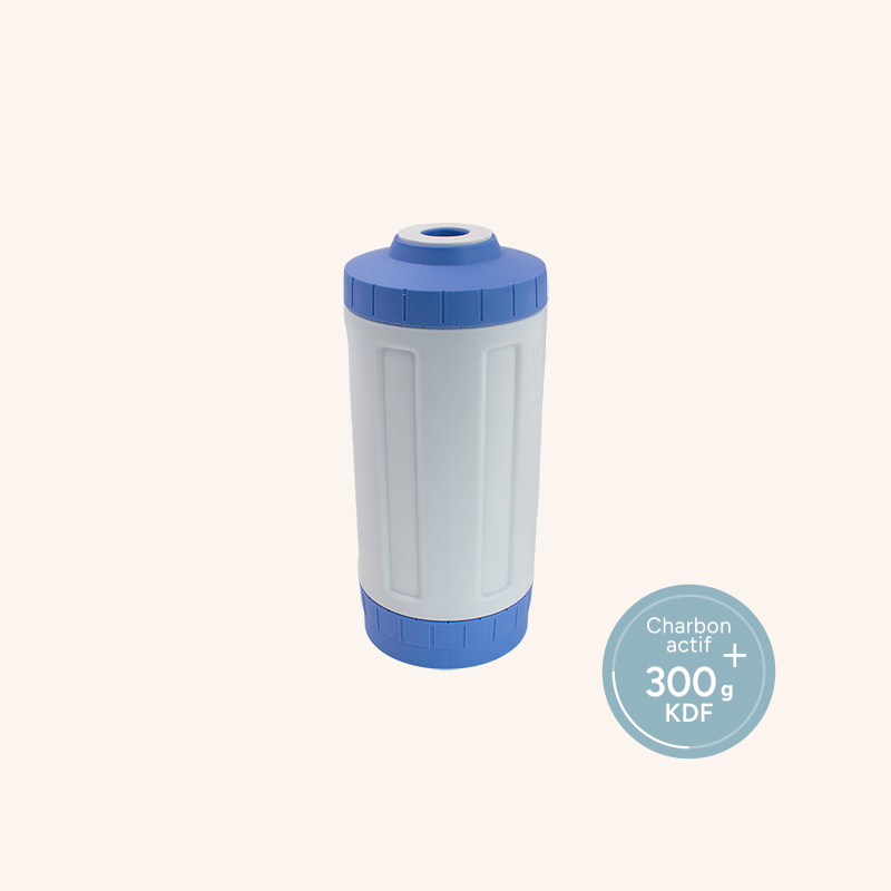 cartouche big blue charbon actif 300 g kdf.jpg