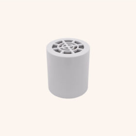 Cartouche pour filtre douche